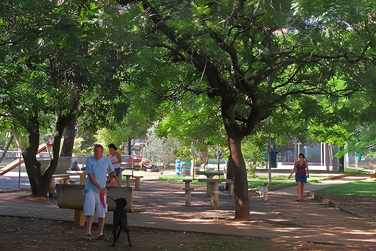 Vila Madalena/Alto de Pinheiros Premium Panorâmico