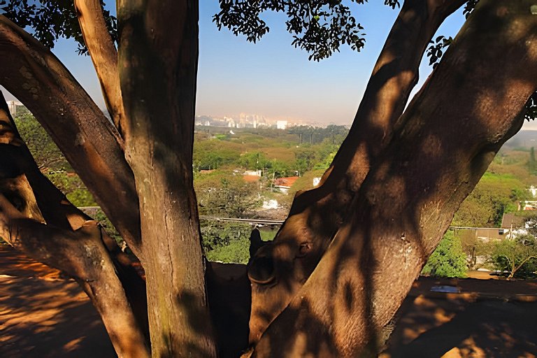 Diseño Master Panorâmico adequado para trabalho