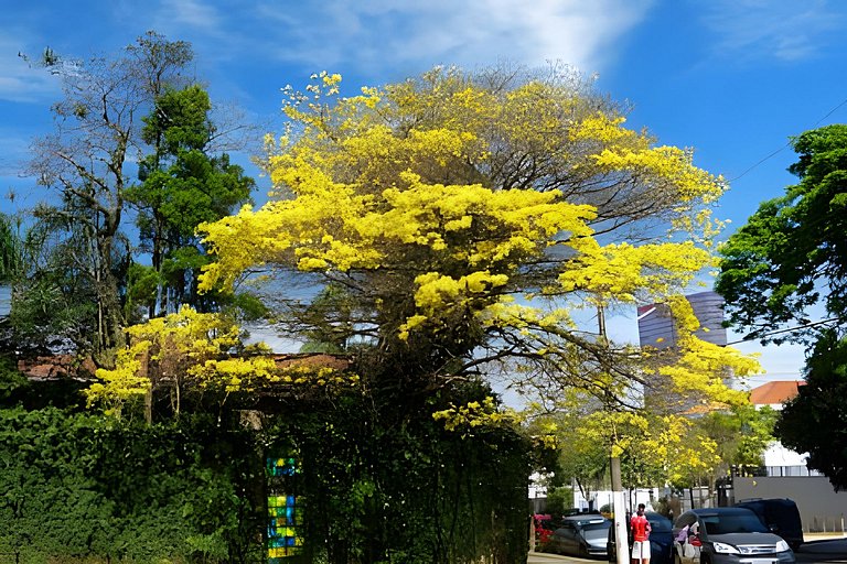 Loft Premium Garden & Panorâmico. Solarium privé.